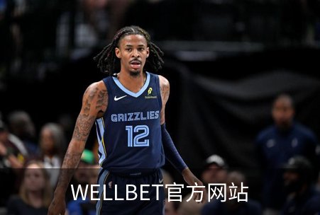 WELLBET官方网站简介